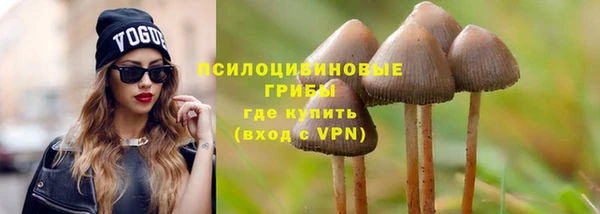 ALPHA-PVP Новозыбков