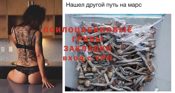 ALPHA-PVP Новозыбков