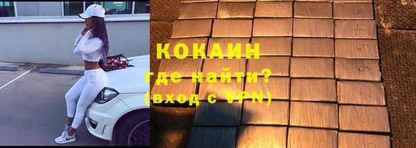 шишки Ельня