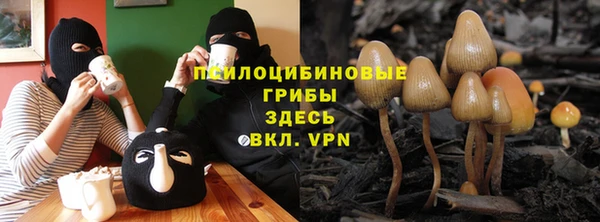 кристаллы Новокубанск