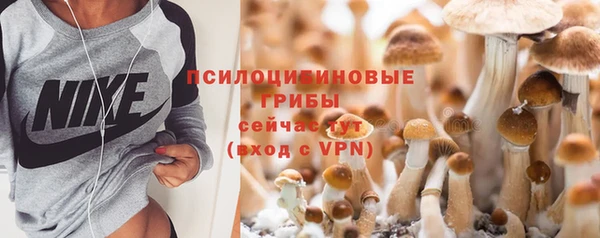 ALPHA-PVP Новозыбков