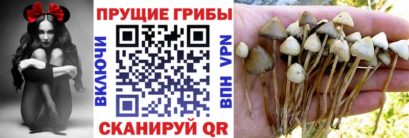 площадка какой сайт Сосногорск Галлюциногенные грибы мицелий
